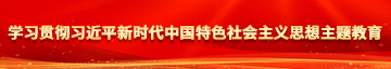 少妇肏屄好浪视频学习贯彻习近平新时代中国特色社会主义思想主题教育